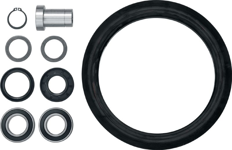 Drive wheel DSW-W 360 PR servicing set 