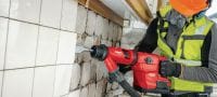 Burins pour tuiles TE-Y TI Burins auto-affûtants pour tuiles SDS Max (TE-Y) pour gratter les matériaux de surface Applications 1