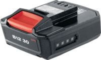 Batterie 12 V B 12-30 Batterie Li-ion 12 V compacte et très légère